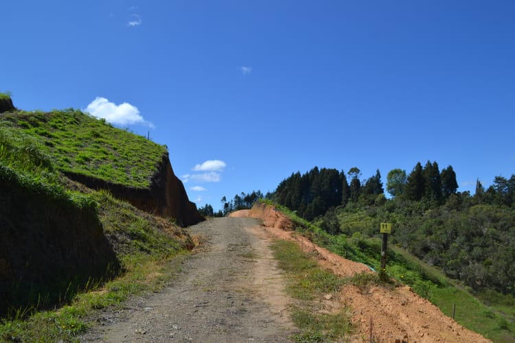 Lote en venta en Guarne, 1368 m² · foto 19 de 24