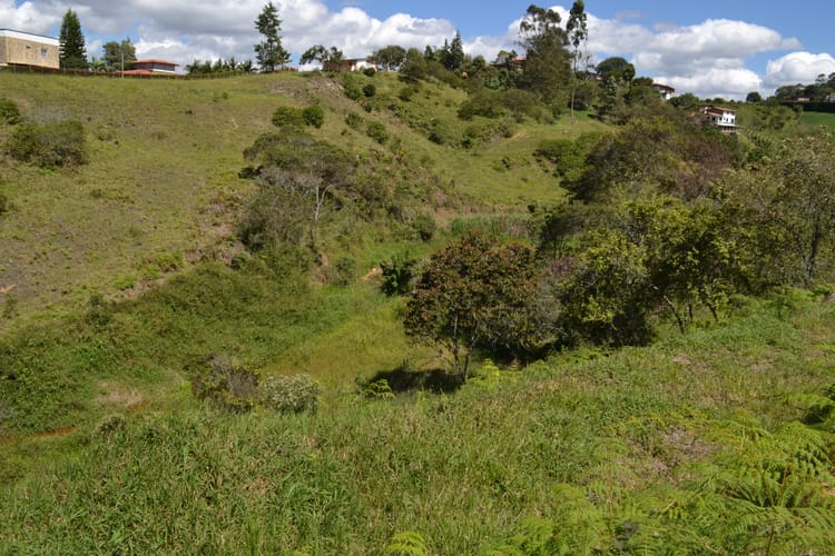 Lote en venta en Guarne, 1368 m² · foto 21 de 24
