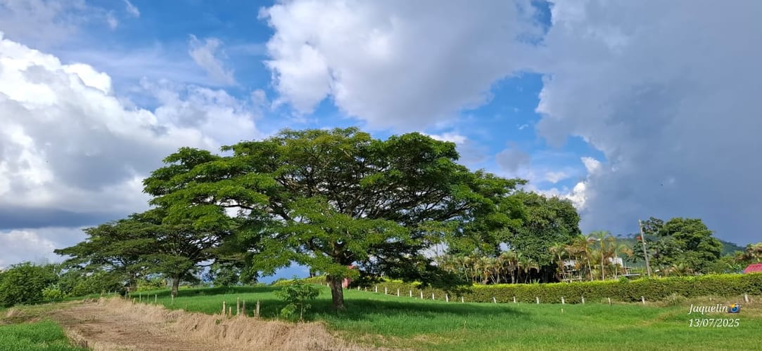 Lote en venta en Condina, Pereira, 2170 m² · foto 3 de 12