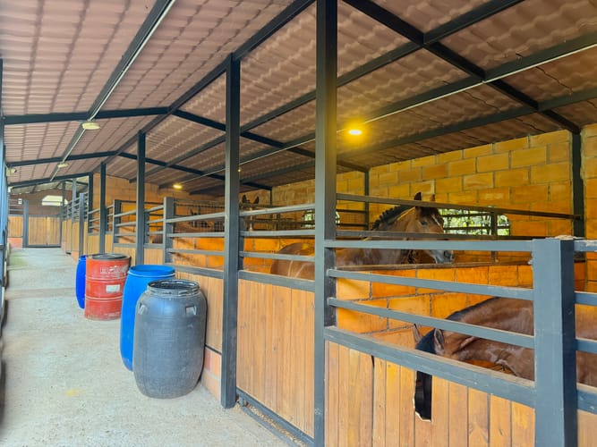 Finca en venta en El Porvenir, Rionegro, 700 m² · foto 15 de 16