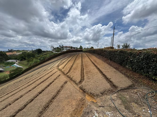 Lote en venta en Rivera, El Carmen de Viboral, 9350 m² · foto 2 de 11