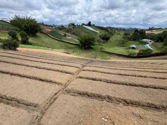 Lote en venta en Rivera, El Carmen de Viboral, 9350 m² · foto 3 de 11
