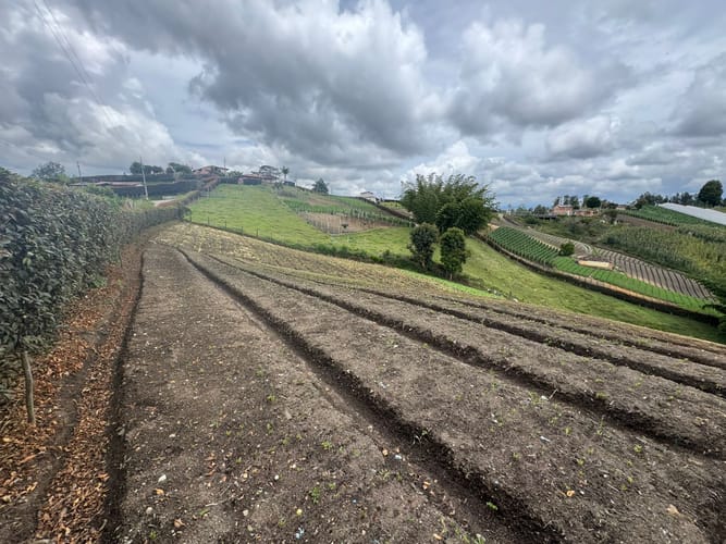 Lote en venta en Rivera, El Carmen de Viboral, 9350 m² · foto 6 de 11