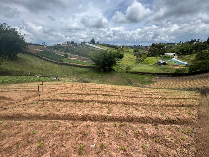 Lote en venta en Rivera, El Carmen de Viboral, 9350 m² · foto 8 de 11
