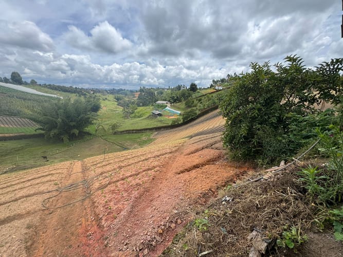 Lote en venta en Rivera, El Carmen de Viboral, 9350 m² · foto 10 de 11