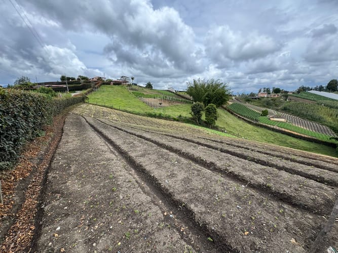 Lote en venta en Rivera, El Carmen de Viboral, 9350 m² · foto 11 de 11