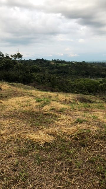 Lote en venta en Pance, Cali, 10400 m² · foto 2 de 3
