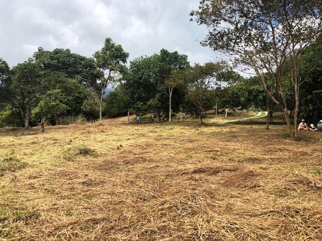 Lote en venta en Pance, Cali, 10400 m² · foto 3 de 3
