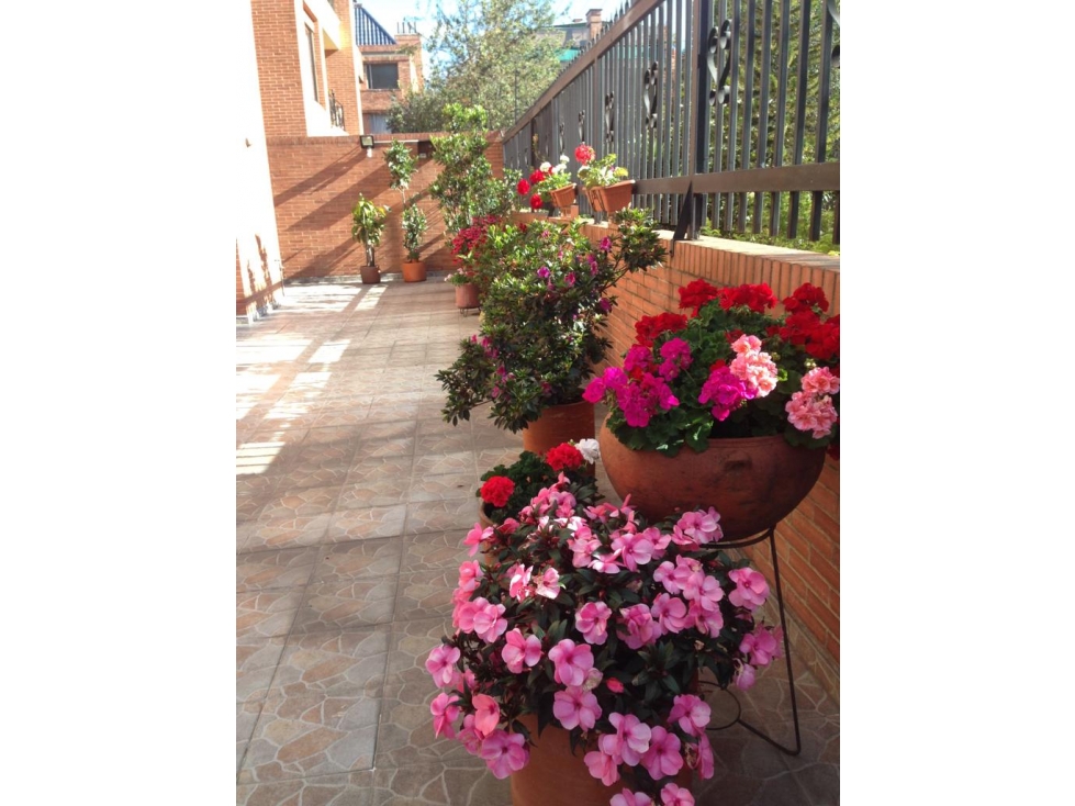 Apartamento en venta en Colina Campestre, Bogotá · foto 15 de 20