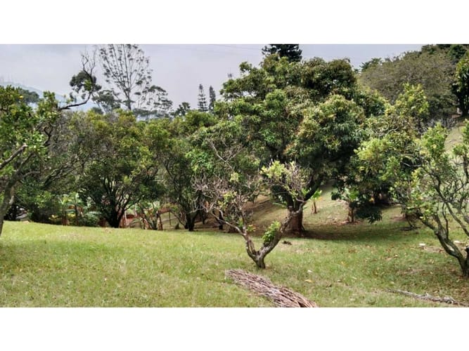Casa de 8 alcobas en venta en Campo Alegre, Santa Marta, 600 m² · foto 20 de 24
