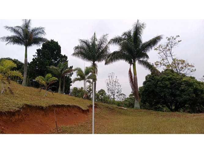 Casa de 8 alcobas en venta en Campo Alegre, Santa Marta, 600 m² · foto 21 de 24