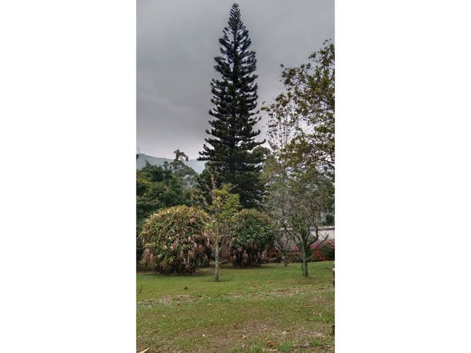 Casa de 8 alcobas en venta en Campo Alegre, Santa Marta, 600 m² · foto 22 de 24