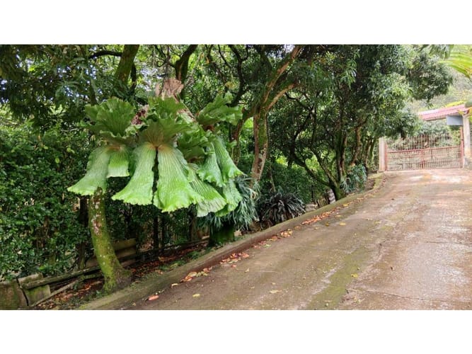 Casa de 8 alcobas en venta en Campo Alegre, Santa Marta, 600 m² · foto 24 de 24