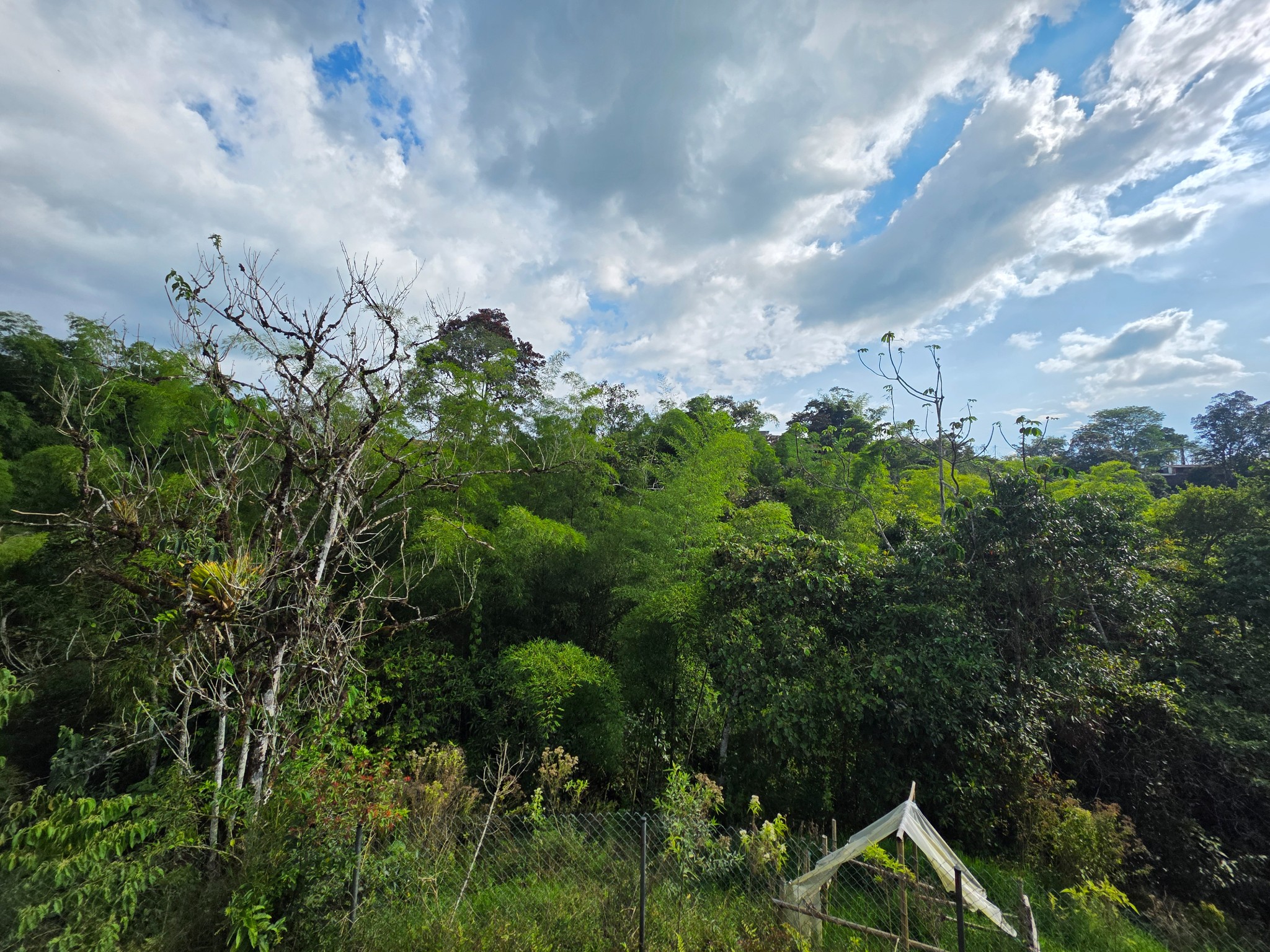 Casa en venta en Tribunas Corcega, Pereira · foto 17 de 18