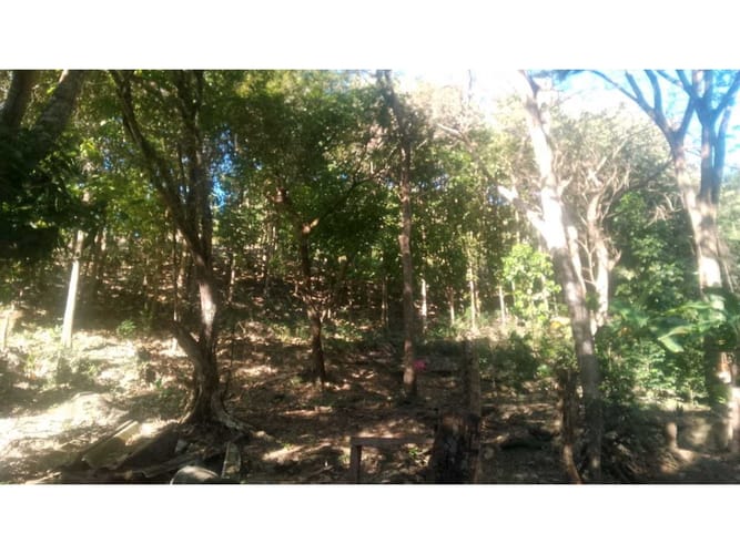 Finca en venta en Corregimiento De Minca, Santa Marta, 140 m² · foto 3 de 7