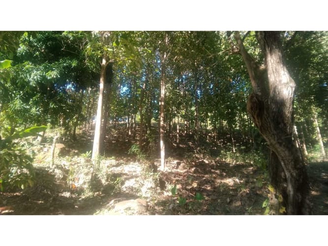 Finca en venta en Corregimiento De Minca, Santa Marta, 140 m² · foto 5 de 7