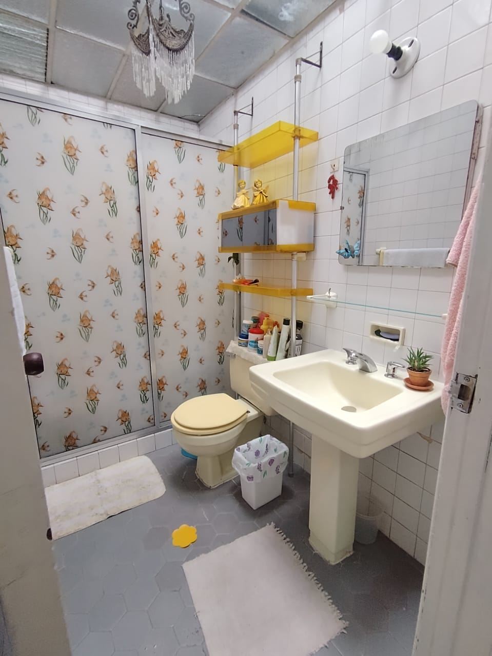 Casa en venta en Santa Isabel Sur, Bogotá · foto 5 de 18