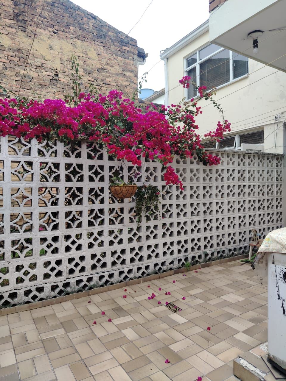 Casa en venta en Santa Isabel Sur, Bogotá · foto 17 de 18