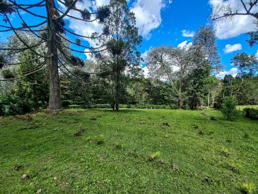 Lote en venta en El Tablazo, Rionegro, 28800 m² · foto 2 de 24