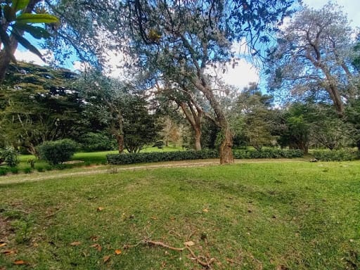 Lote en venta en El Tablazo, Rionegro, 28800 m² · foto 3 de 24