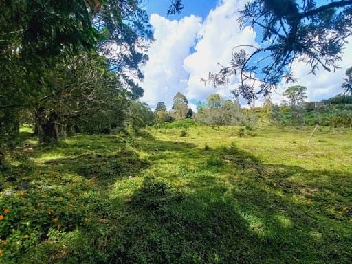 Lote en venta en El Tablazo, Rionegro, 28800 m² · foto 4 de 24