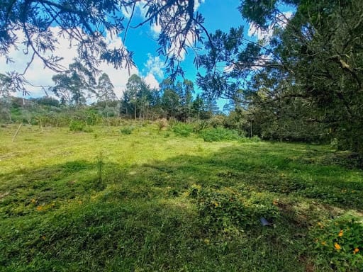 Lote en venta en El Tablazo, Rionegro, 28800 m² · foto 5 de 24