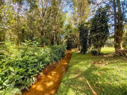 Lote en venta en El Tablazo, Rionegro, 28800 m² · foto 6 de 24