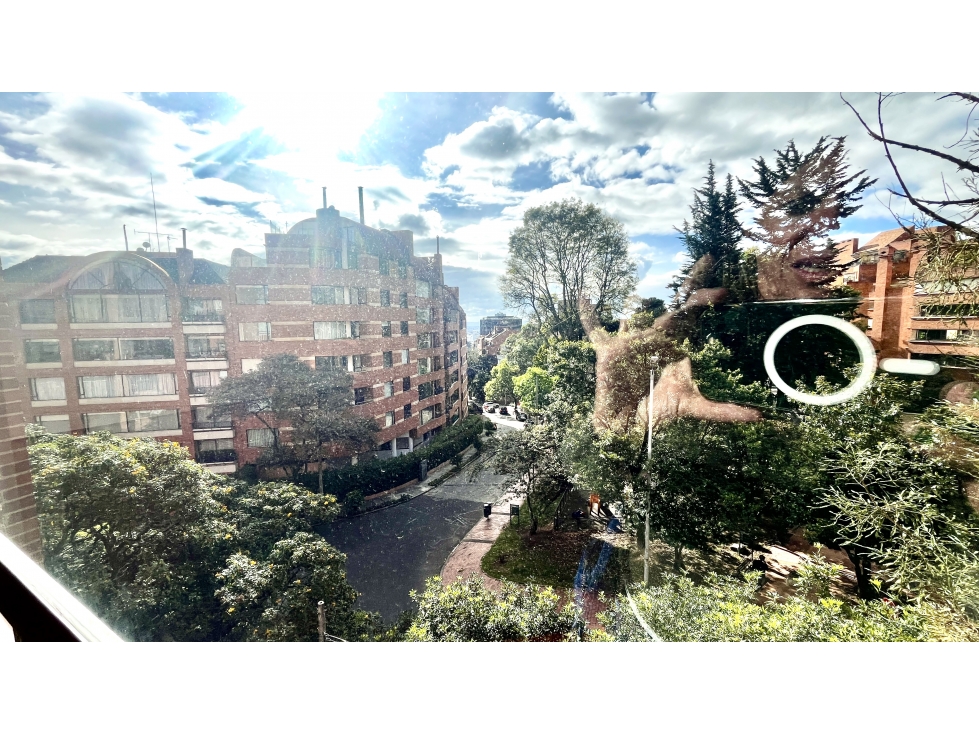 Apartamento en venta en Los Rosales, Bogotá · foto 22 de 24