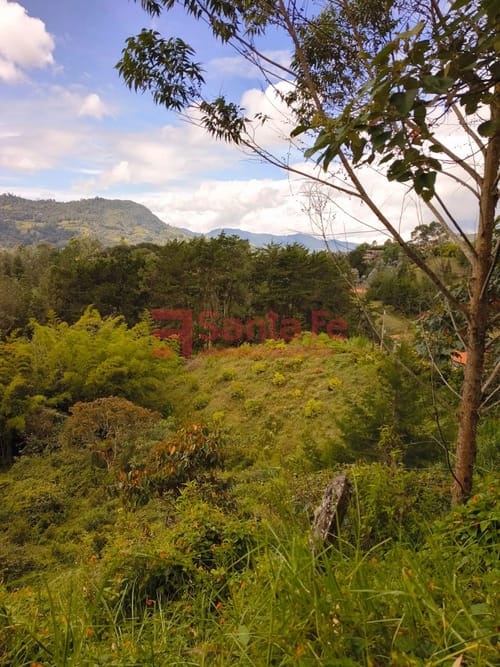 Finca en venta en Centro, Rionegro, 5534 m² · foto 2 de 10