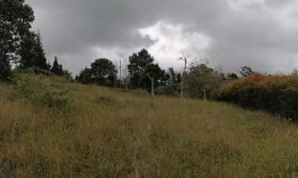 Lote en venta en Monta�Ez, Guarne, 2298 m² · foto 7 de 15