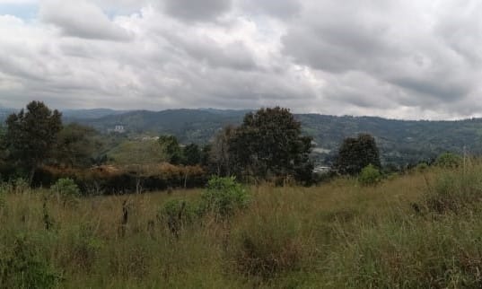 Lote en venta en Monta�Ez, Guarne, 2298 m² · foto 5 de 15