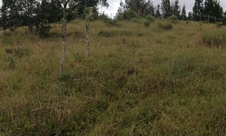Lote en venta en Monta�Ez, Guarne, 2298 m² · foto 6 de 15