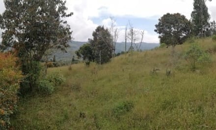 Lote en venta en Monta�Ez, Guarne, 2298 m² · foto 4 de 15