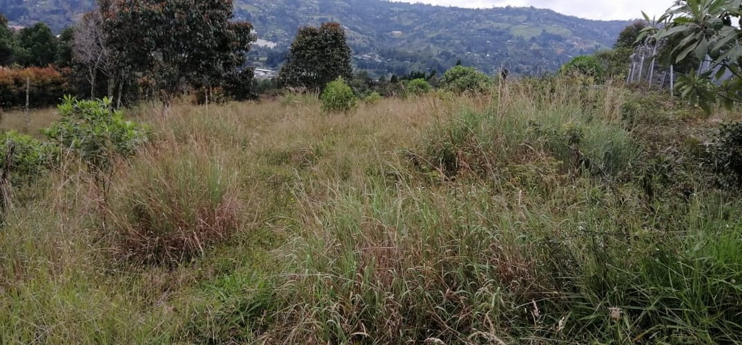 Lote en venta en Monta�Ez, Guarne, 2298 m² · foto 10 de 15
