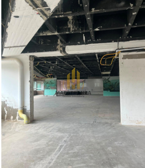Local en arriendo en Las Lomas, Medellín, 320 m² · foto 3 de 6