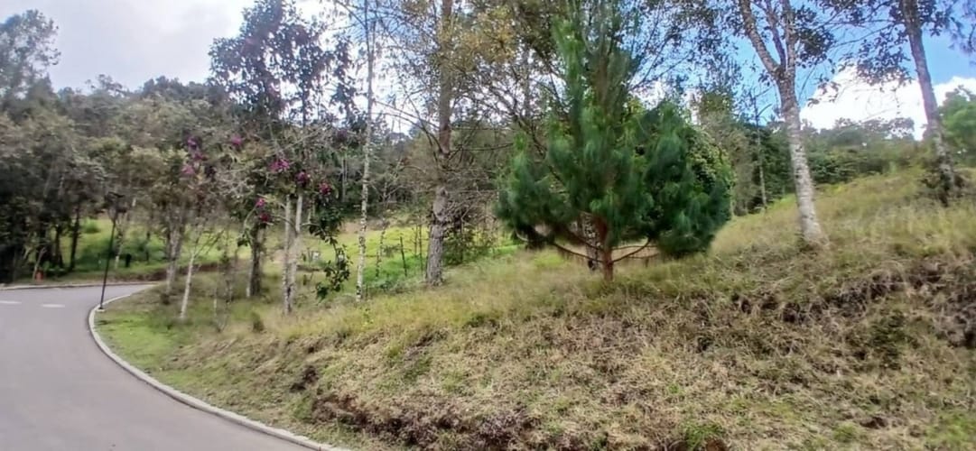 Lote en venta en Pantanillo, El Retiro, 1215 m² · foto 6 de 18