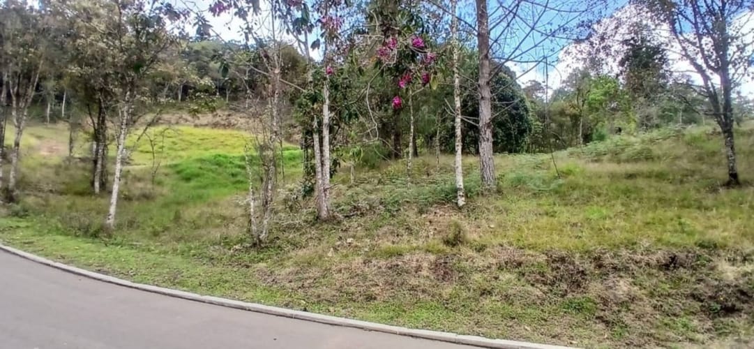 Lote en venta en Pantanillo, El Retiro, 1215 m² · foto 7 de 18