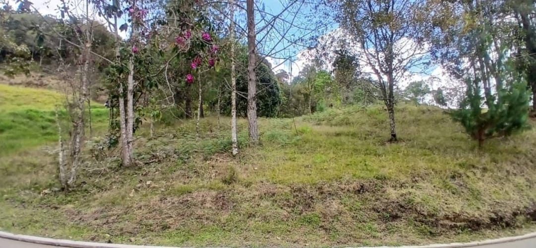 Lote en venta en Pantanillo, El Retiro, 1215 m² · foto 8 de 18