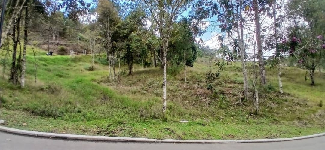 Lote en venta en Pantanillo, El Retiro, 1215 m² · foto 9 de 18