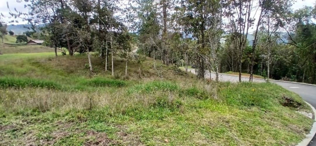 Lote en venta en Pantanillo, El Retiro, 1215 m² · foto 12 de 18