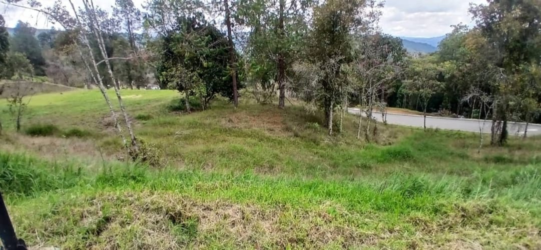 Lote en venta en Pantanillo, El Retiro, 1215 m² · foto 13 de 18