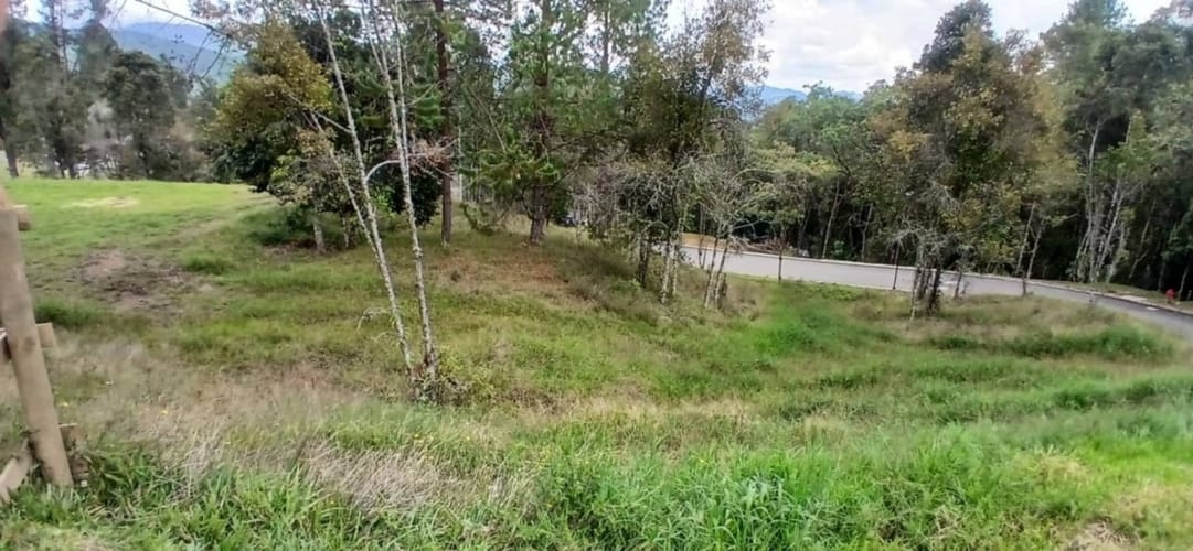 Lote en venta en Pantanillo, El Retiro, 1215 m² · foto 17 de 18