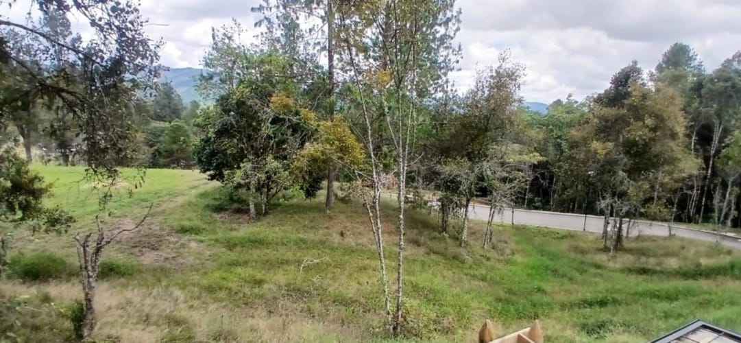 Lote en venta en Pantanillo, El Retiro, 1215 m² · foto 18 de 18