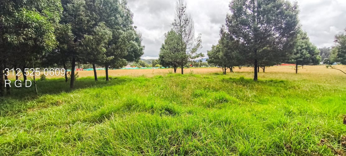 Lote en venta en Centro, Sopó · foto 9 de 9