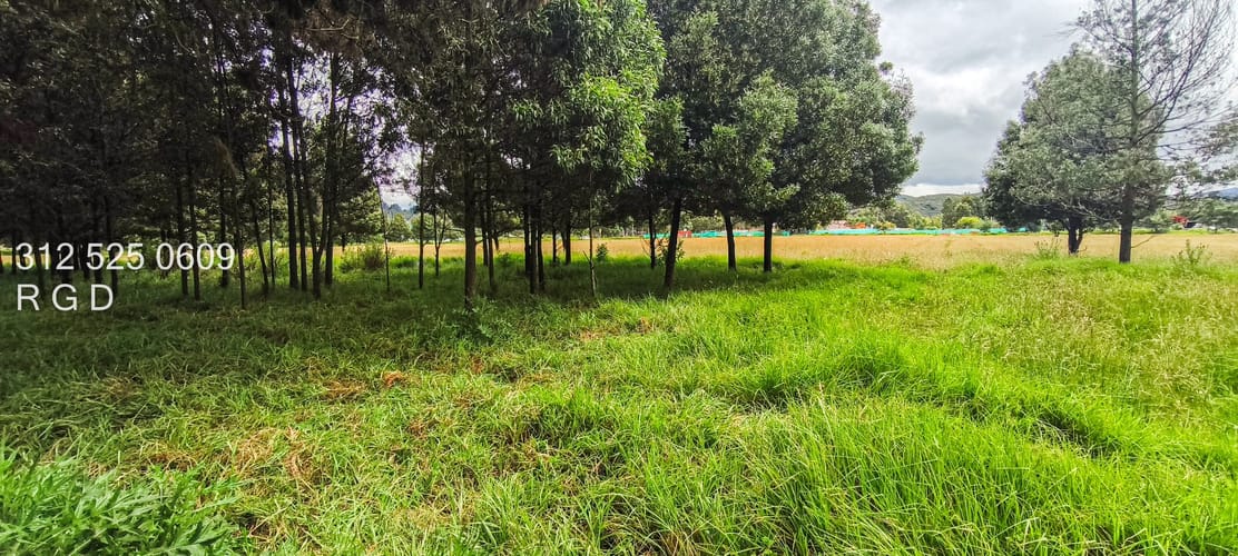 Lote en venta en Centro, Sopó · foto 7 de 9