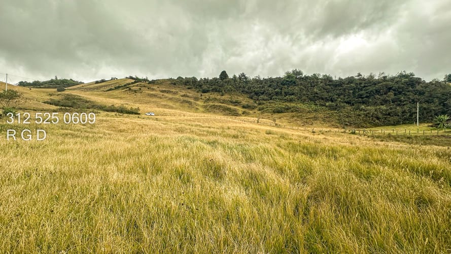 Finca en venta en Aposentos, Sopó · foto 6 de 13