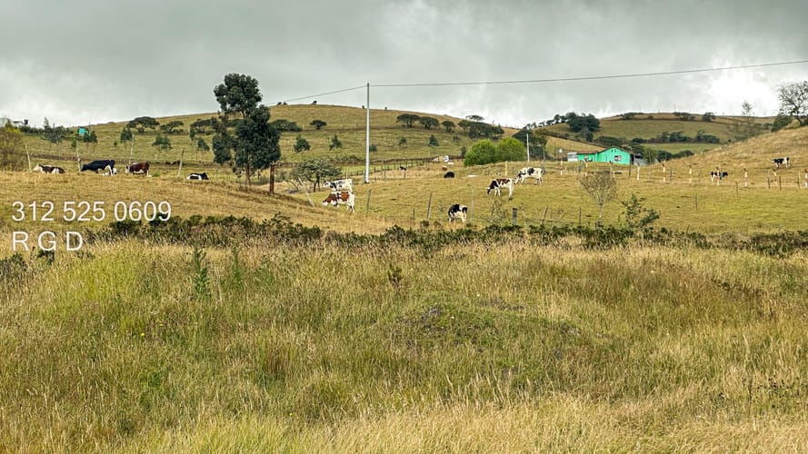 Finca en venta en Aposentos, Sopó · foto 8 de 13