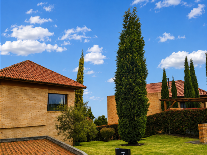 Casa de 3 alcobas en venta en Sindamanoy, Chía, 220 m² · foto 3 de 21