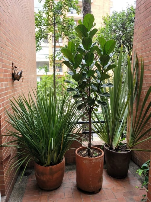 Apartamento de 4 alcobas en venta en Los Rosales, Bogotá, 287 m² · foto 12 de 24