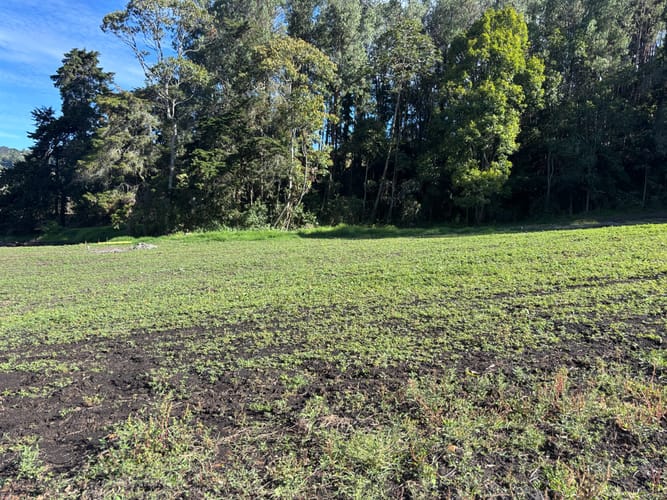 Lote en venta en El Tablazo, Rionegro, 1372 m² · foto 3 de 3